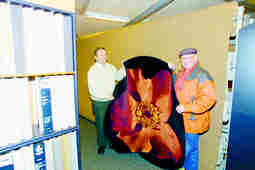 danbo 4 fv.jpg (5184 bytes)