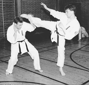 karate.gif (29621 bytes)