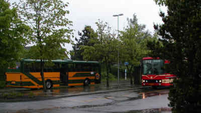 busserlg.jpg (13100 bytes)