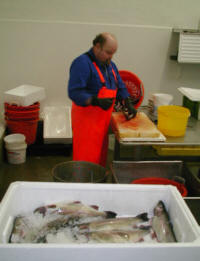 kokken-200.jpg (10454 bytes)