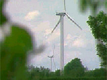 Tvind-moelle.jpg (10331 bytes)