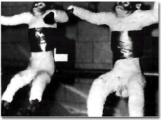 Aber-i-forsoeg.jpg (17696 bytes)