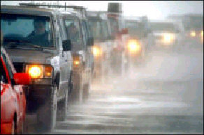 Dyrere-forsikring.jpg (17959 bytes)