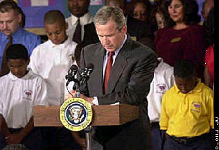 Bush.jpg (17158 bytes)