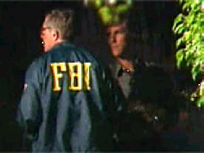 Falske-pilot-papirer.jpg (18559 bytes)