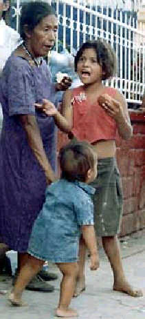 Muligt-at-tigge.jpg (18404 bytes)