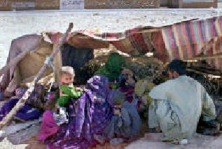 Paa-flugt.jpg (18761 bytes)