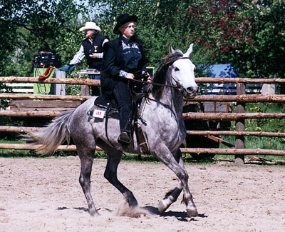 Foto-Sven-H-Nielsen-Hestenyt.jpg (71963 bytes)