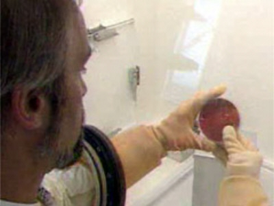 23oktpost_forsinket400.jpg (34122 bytes)