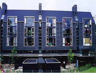 fulg_prins01 (kopi).jpg (28049 bytes)