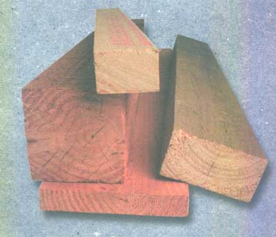 detfornuftigevalg.jpg (14789 bytes)