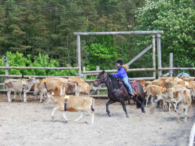 WESTERN-STAEVNE 2002-05-26-C.jpg (17798 bytes)