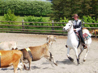 WESTERN-STAEVNE 2002-05-26-E.jpg (17830 bytes)