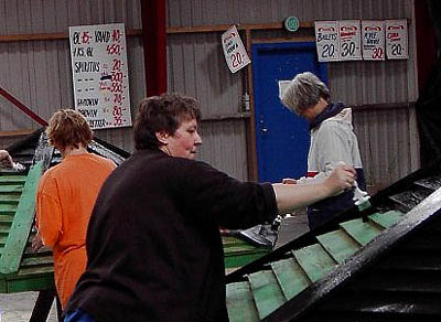 Tagbemaling.jpg (35817 bytes)