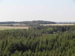 079 ses ikke trods zoom.JPG