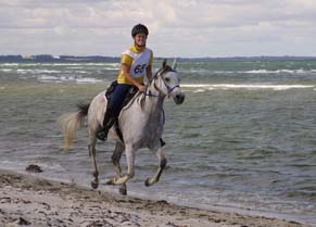 Camilla.jpg (15768 bytes)