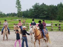 western Afd.2 015.jpg (10548 bytes)