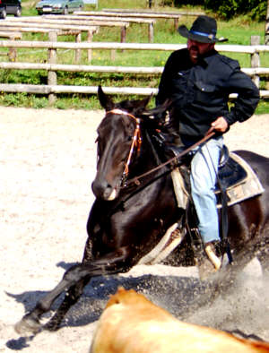 09010011.jpg (27054 bytes)