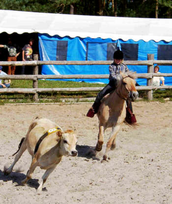 09010022a.jpg (29870 bytes)