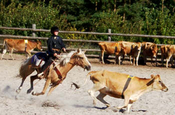 09010033a.jpg (20443 bytes)