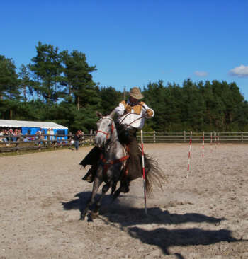 09010039.jpg (20026 bytes)