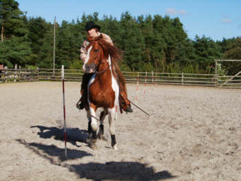 09010048.jpg (17057 bytes)