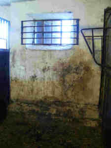 09090008.jpg (6251 bytes)