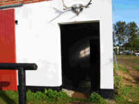 09250003.jpg (5987 bytes)