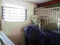 09250007.jpg (5694 bytes)